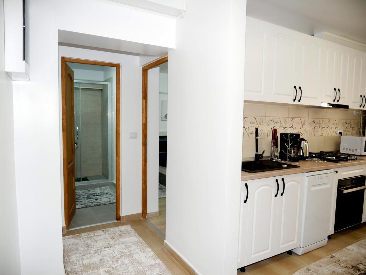 Apartament David Moldvahosszúmező Kültér fotó