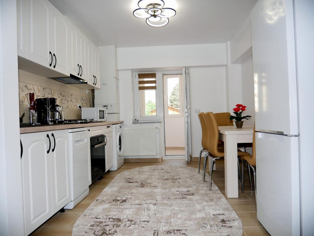Apartament David Moldvahosszúmező Kültér fotó